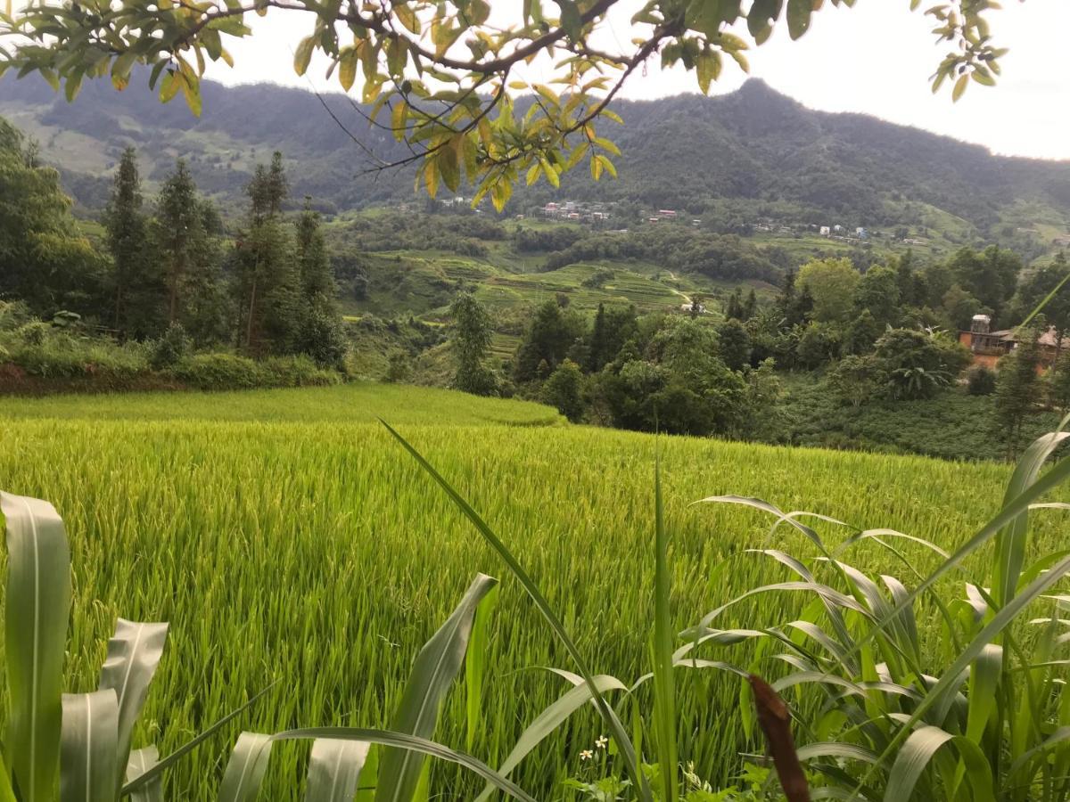 닌빈 Tam Coc Eco House 아파트 외부 사진