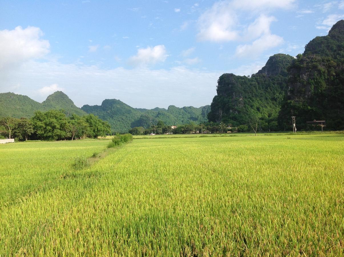 닌빈 Tam Coc Eco House 아파트 외부 사진